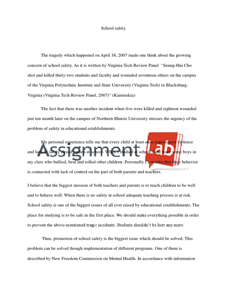 School Safety/ Essay / Paper PDF