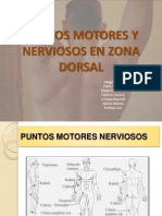 Puntos motores y nerviosos dorsal