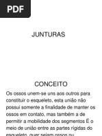 182481 - Junturas