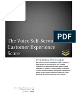 The Voice Self-Service Customer Experience Score: Greg Borton, Peter Leppik