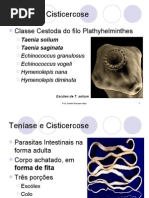 160164_Teníase e Cisticercose