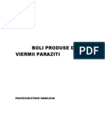 Boli Produse de Viermii Paraziti