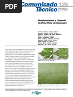 Comunicado_125_mon e Cont Pinta Preta