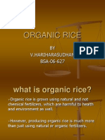 Organic Rice