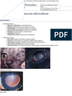 Afecciones de córnea no ulcerativas