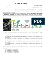 Ficha de DNA e Sintese Proteica