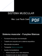 Sistema Muscular 2008