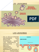 Loslisosomas 120313215614 Phpapp01