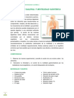 Digestion Salival - Motilidad Gastrica