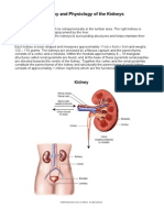 55904033 Anatomy and Physiology of the Kidneys