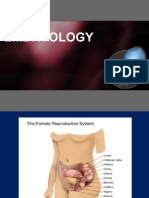 Oogenesis Reproductive Cycle & Fertilization