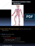 8 Sistem Peredaran Darah Solo NK