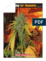 54047144 Growing for Dummies