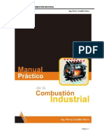 Exc-manual Practico de Combustion Industrial