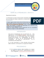 Pautas_Proyecto_Grupal_2013-Estadistica2.pdf