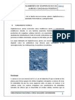 Pract 05 Microb. Aislamiento de Staphylococcus Aureus