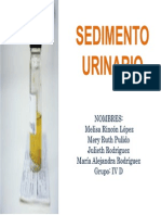 SEDIMENTO URINARIO