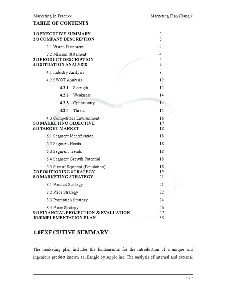 Marketing Plan | PDF | Marketing | Business