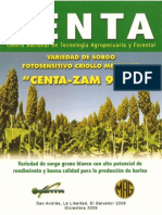 Sorgo Centa-zam 911