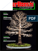 46170552-interbonsai-nº4-primavera-2010