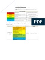 Exemplo do Protocolo de Classificação de Risco Adaptado