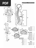 Download Princeton Review Anatomy Coloring Book Pdf