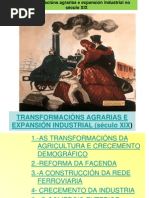 TEMA7- TRANSFORMACIÓNS AGRARIAS E EXPANSIÓN INDUSTRIAL (SÉCULO XIX)