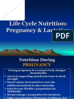 Life Cycle Nutrition