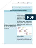 Module 1 - Enzymes