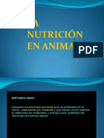 Nutricion en Animales