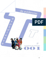 3 Capitulo III Expt de Evidencias Tesis Dam 2008