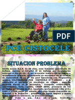 PCE Cistocele