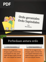 Download ordo geraniales dan ordo sapindales by Intan Trisna Ayu Pb SN186667135 doc pdf