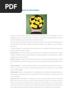 7 TIPOS DE MEMÓRIA DO SER HUMANO