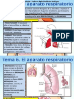 Tema 6 Aparato Respiratorio