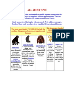 Apes PDF
