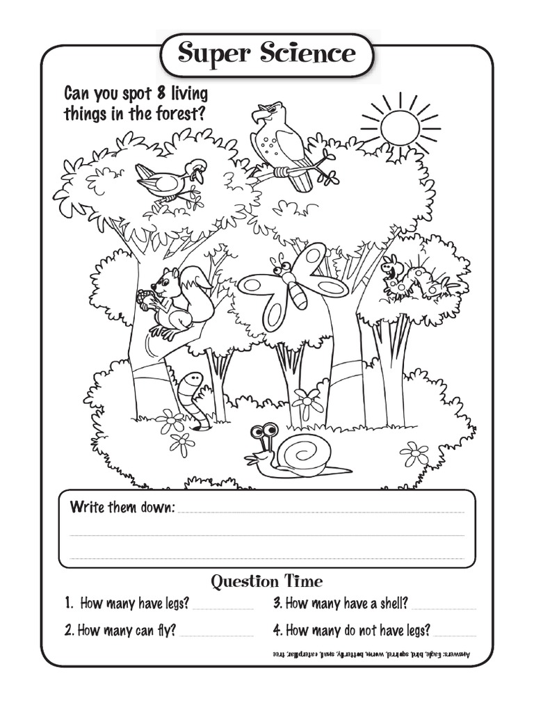Super Science Question Time Guide | PDF | Self-Improvement | Science ...