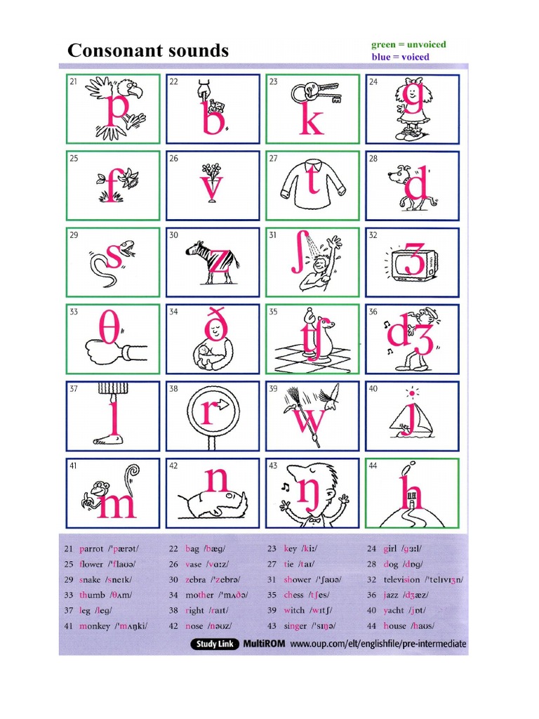 Phonetic Symbol Chart