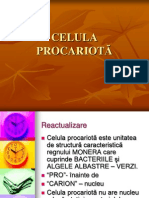 Procariot cell