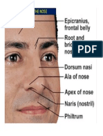 Nose External Parts