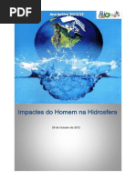 Impactos Negativos Na Hidrosfera - Trabalho Escrito