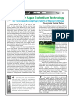 Blue Green Algae Bio Fertilizer Technology