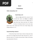 Download husein PKL by indera_tarsa SN18674105 doc pdf