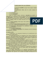 Metabolismo de Los Lípidos