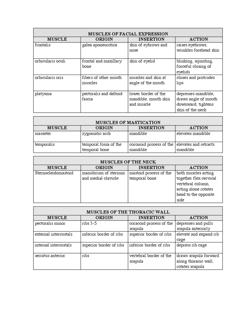Muscle Origins and Insertions | Thumb | Foot