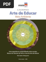 Arte e o Meio