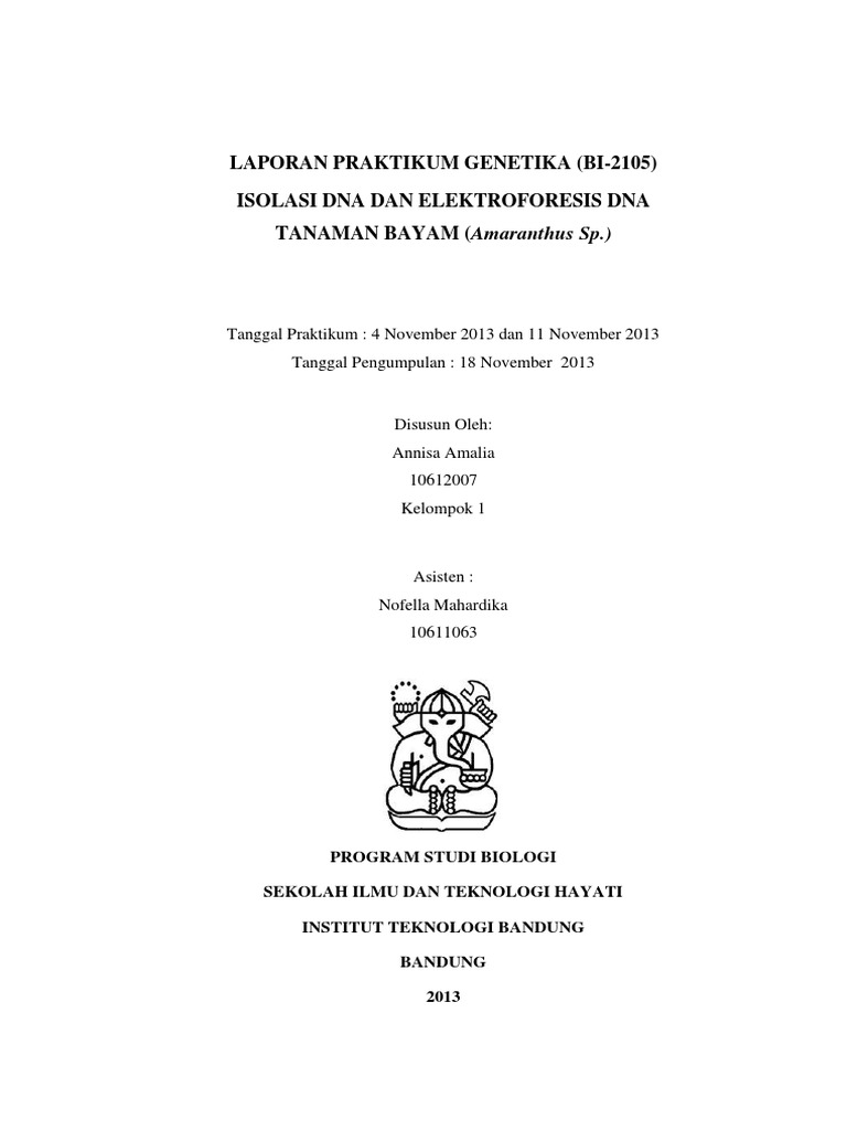 Laporan Isolasi Dna Dan Elektroforesis