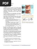 Apostila Ultra Sonografia