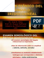 Angulo Iridocorneal