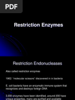 Restriction Enzymes 05